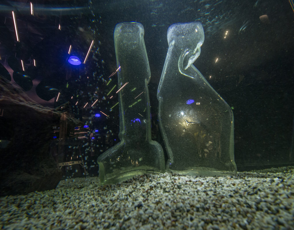 'Tsivilisatsioon 2' EKKÜ aastanäitus Lennusadama akvaariumis 2016, foto M. Hiis